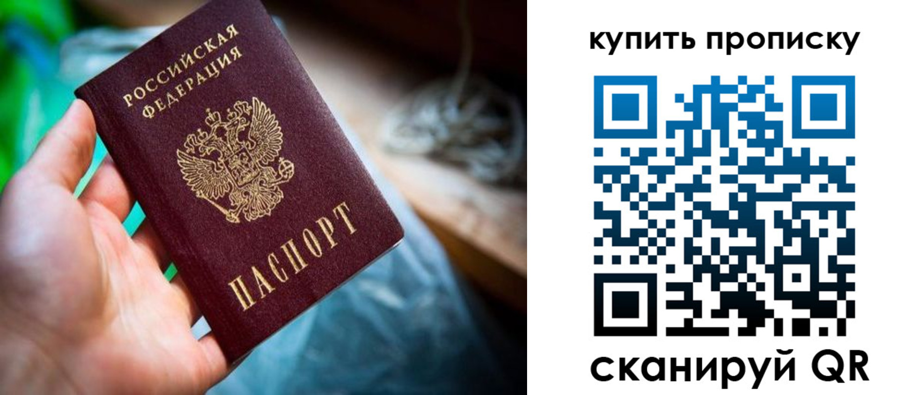 прописка законно в Киселёвске